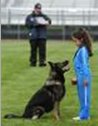 Thought that you might like to see the great pictures of a 7 year old girl at the USA Working Dog Nationals
